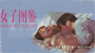 欧美一级带-久久综合视频网站