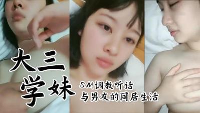后宫贱妾跪趴撅高调教-少妇被粗大的猛烈进大胸视频